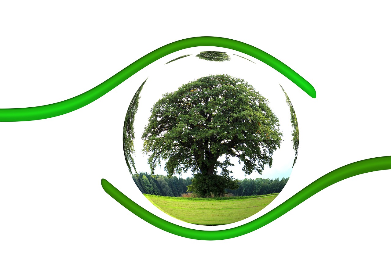 Revolutionary Eco-Friendly Innovations to Watch